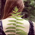 The backside view of a young woman with long brown hair swept over her let shoulder with a green plant placed delicately on her spine