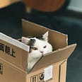 Cat sitting in the cardboard box