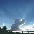 A cloud in the sky shaped like a cat