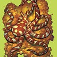 Illustration of a Wunderpus octopus by Julie Benbassat from The Screaming Hairy Armadillo book