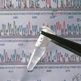 A sequencing chromatograph showing a DNA sequence and a sample of DNA from the human genome mapping project.
