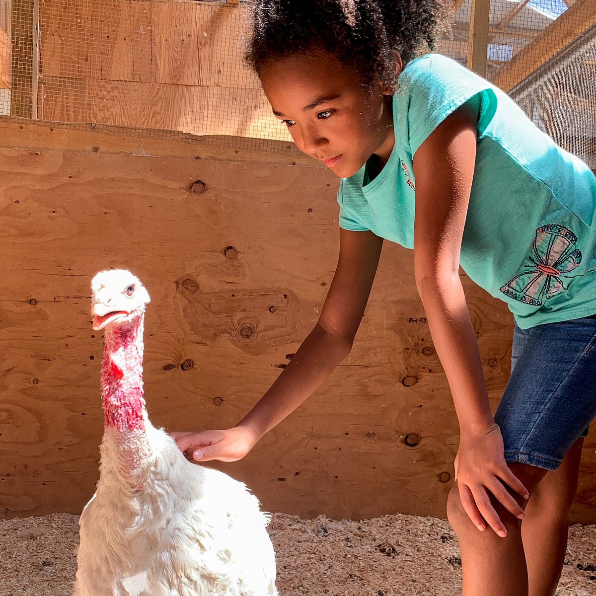 turkey sanctuary near me