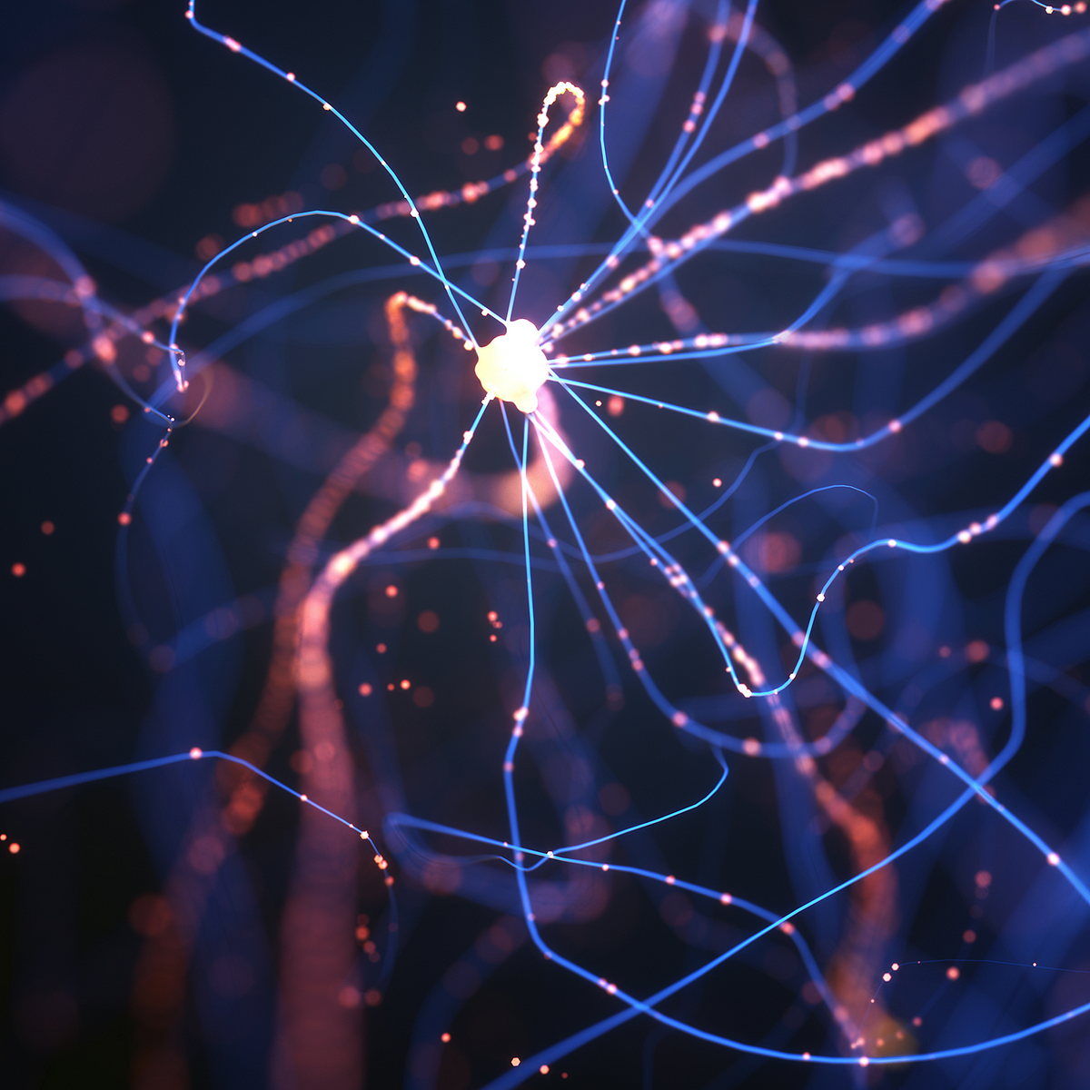 Are Artificial Neural Networks Like The Human Brain And Does It Matter By Lili Tcheang Digital Catapult Medium