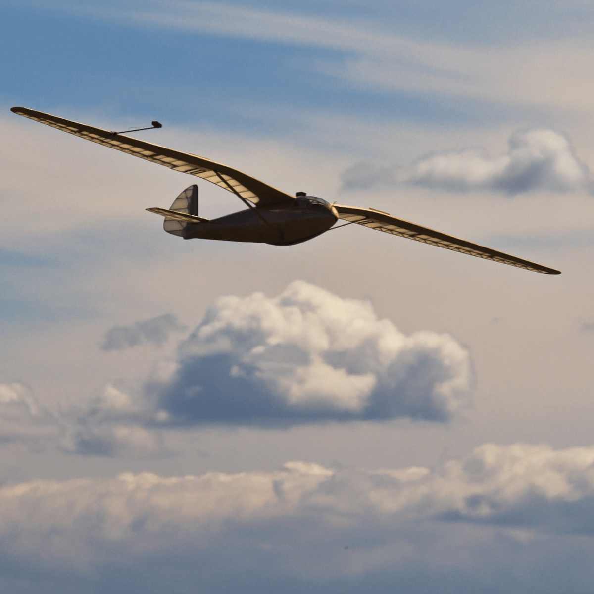 Gull Wing Aircraft