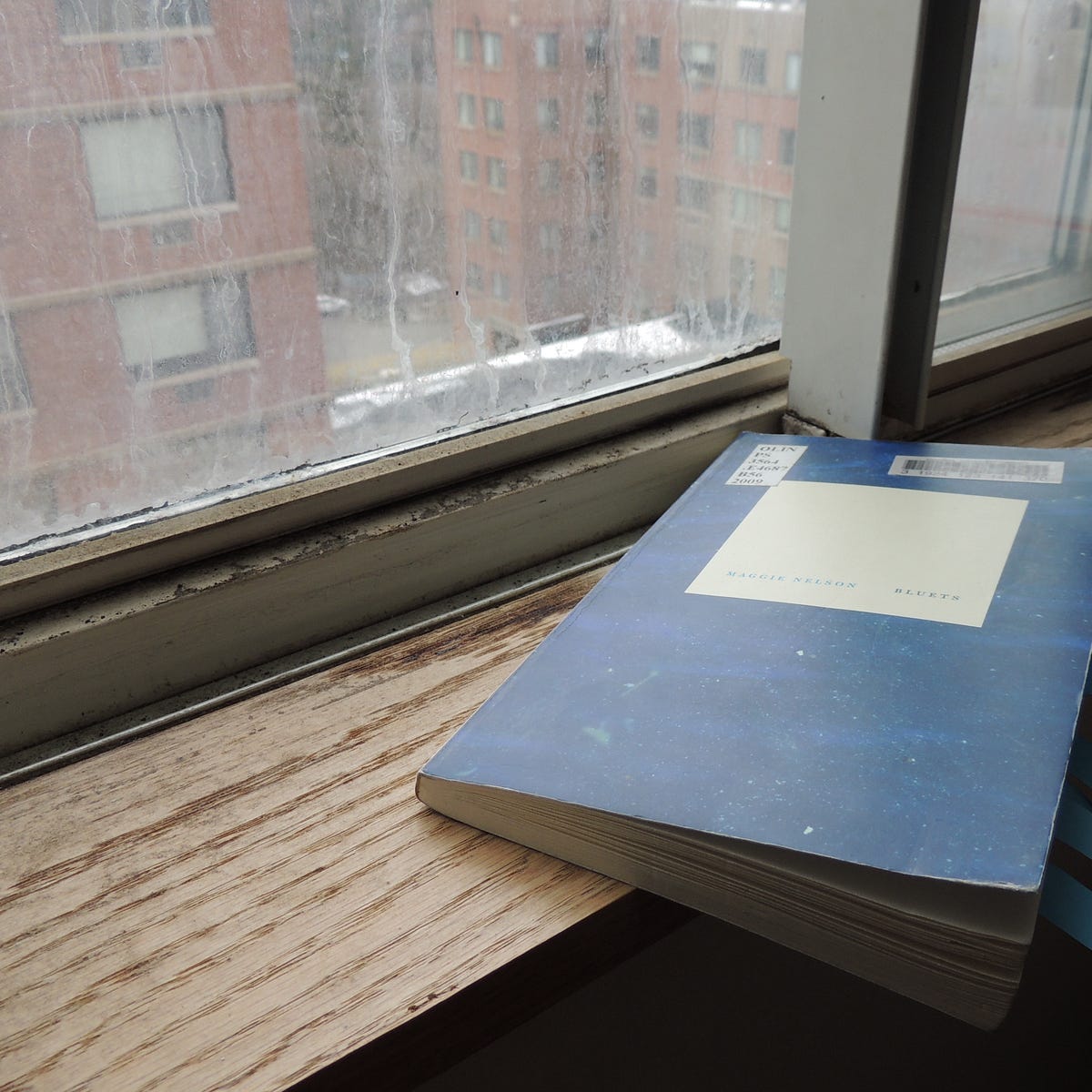 Memory Art And 7 Quotes From Maggie Nelson S Bluets By Xi