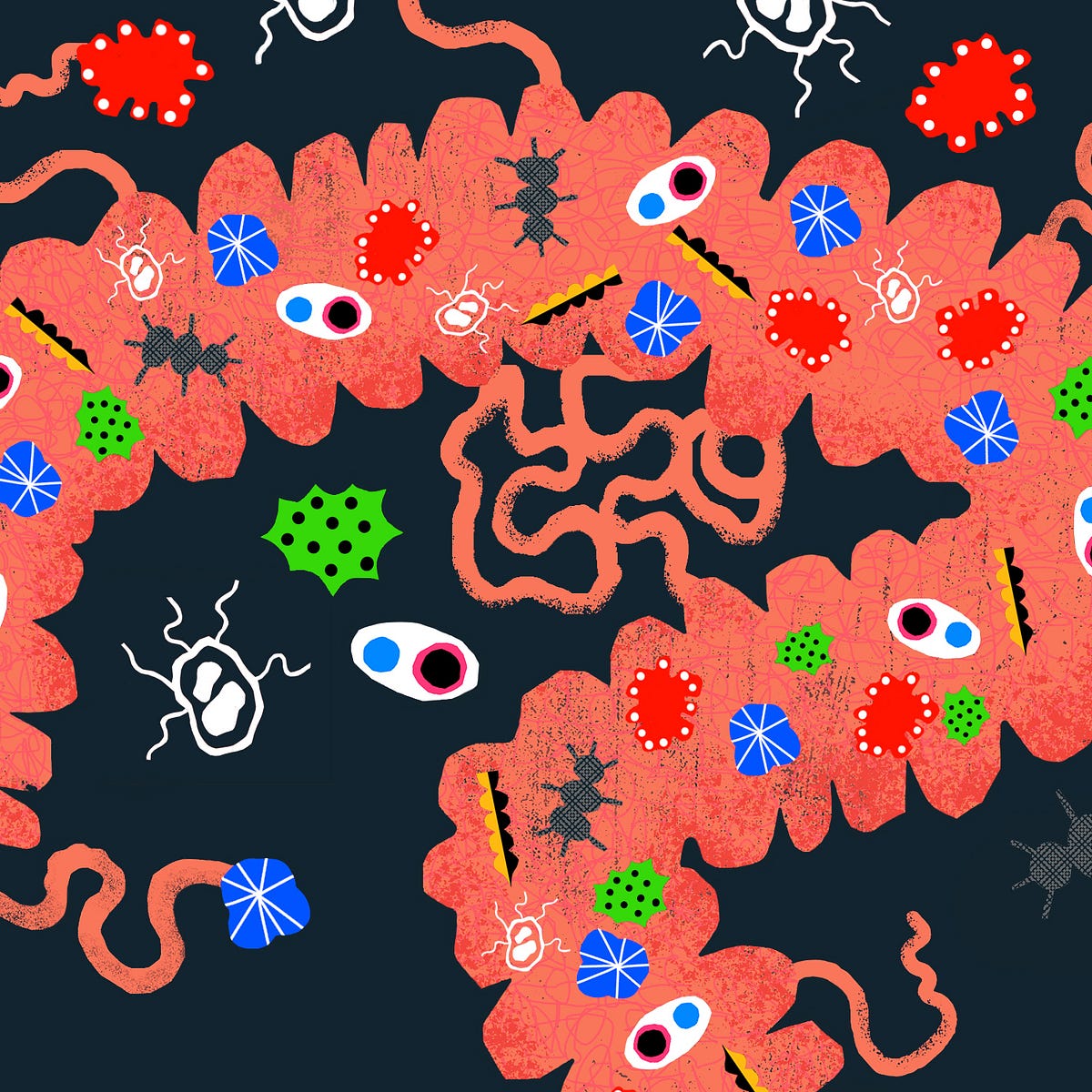 Everyone Has A Leaky Gut The Disease Du Jour Has Become A By Robert Roy Britt Elemental