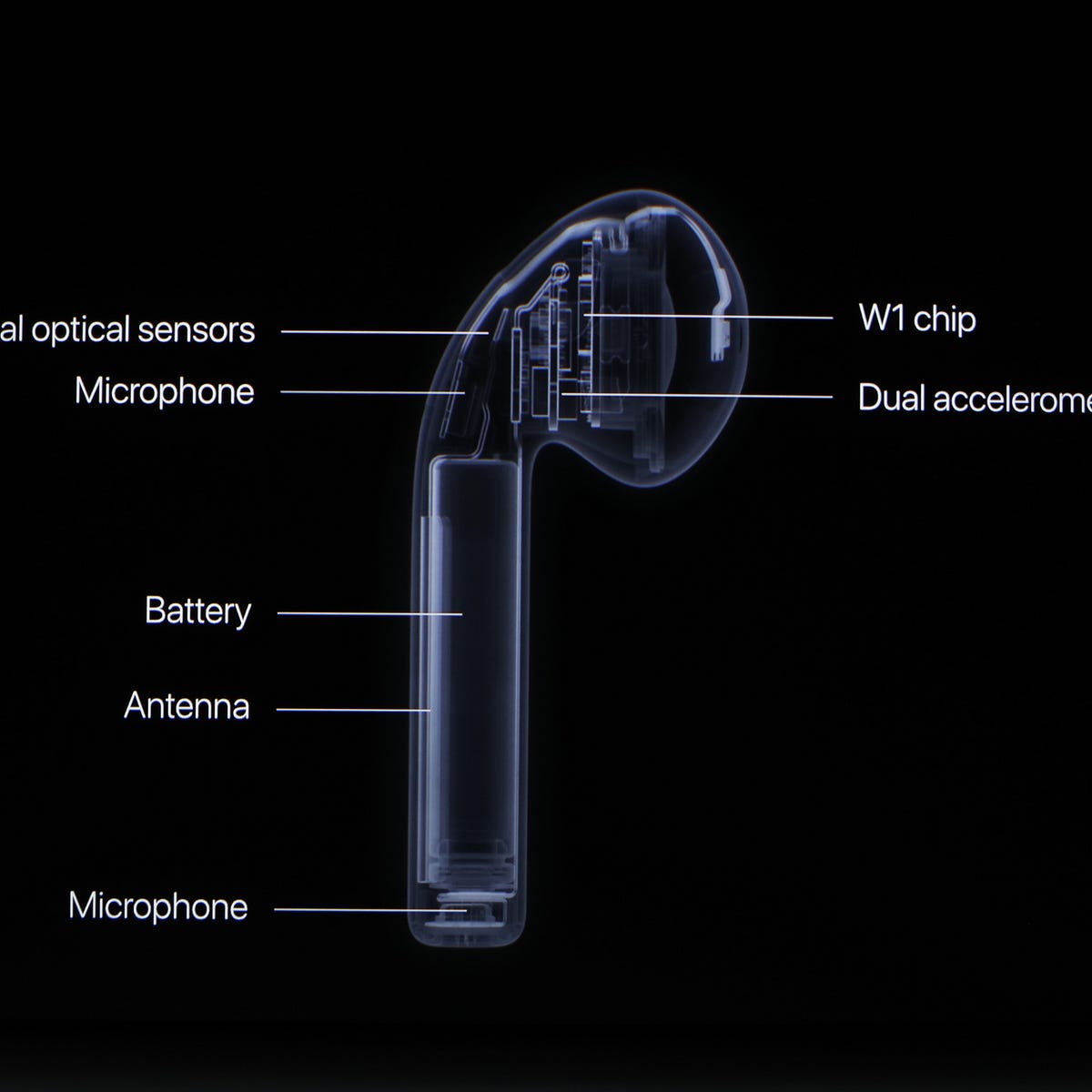 What Really Happens To Airpods When They Die By Will Oremus