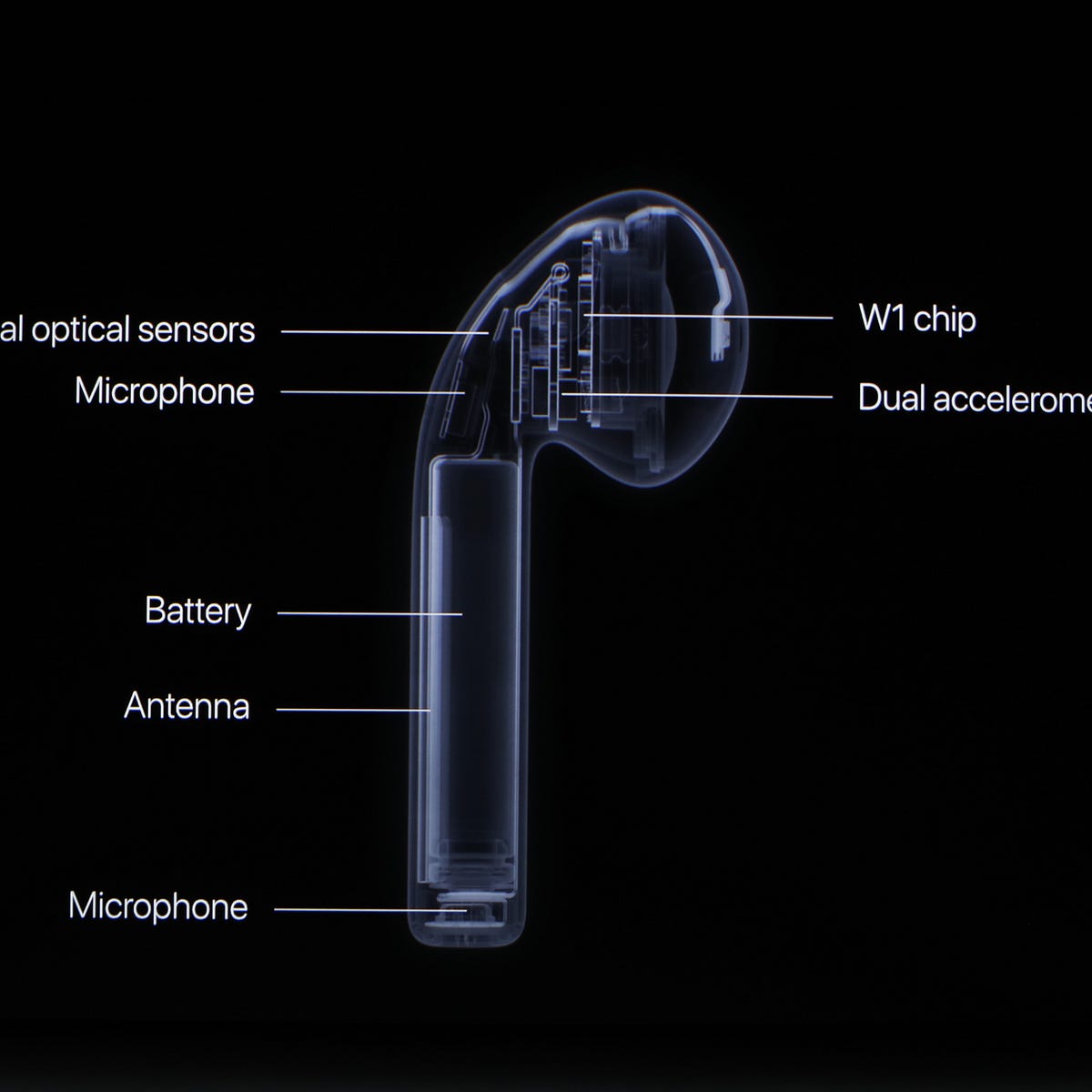 What Really Happens to AirPods When They Die | by Will Oremus | OneZero