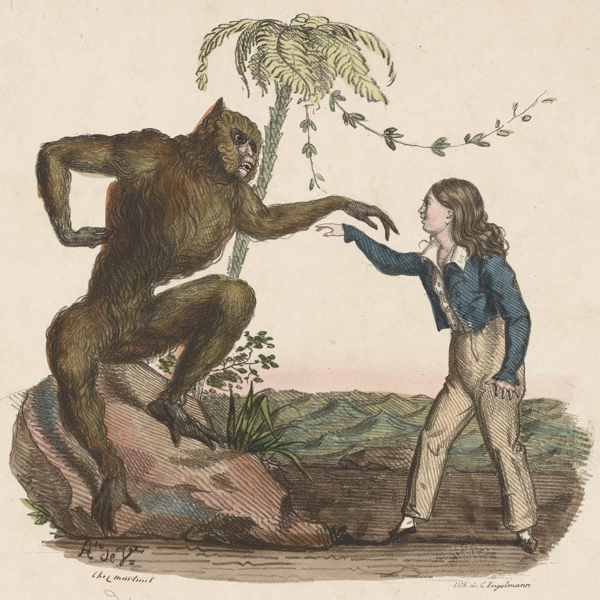 the person in the ape a history of humans trying and failing by lapham s quarterly medium