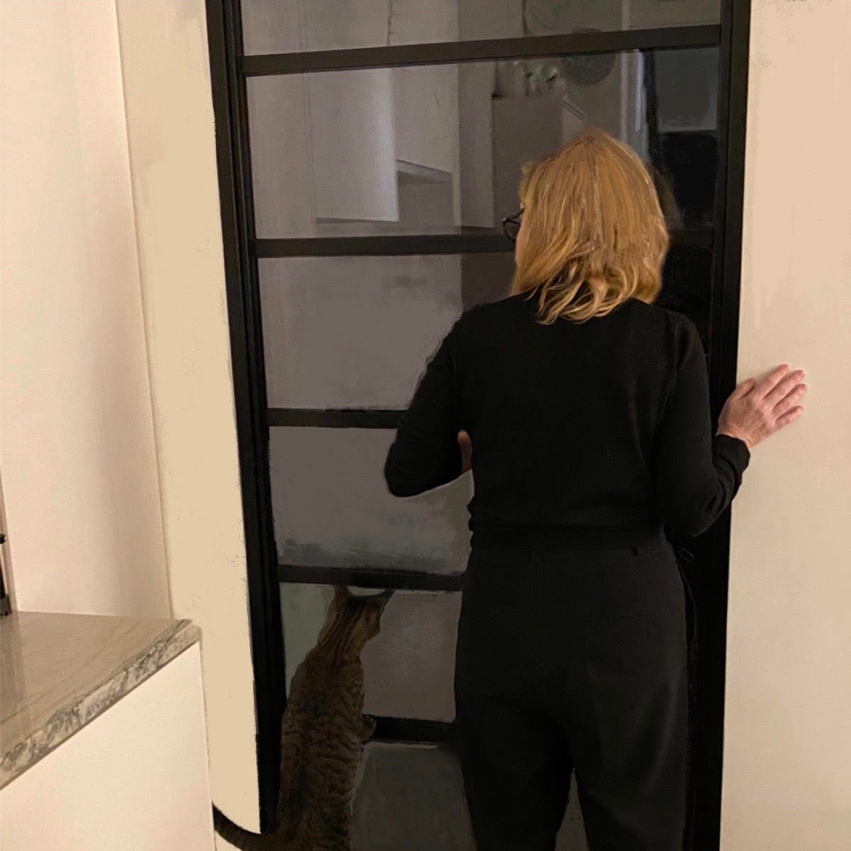 Some Notes On Cats Observations From Someone Who Will By