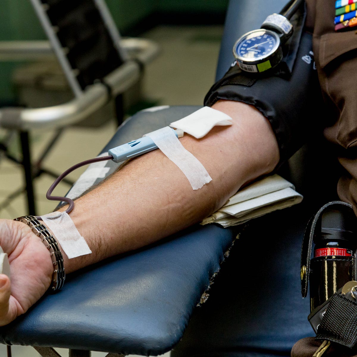 Be Nice To Me I Gave Blood Today By Rose George Medium