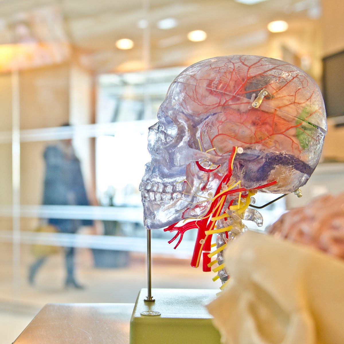 Your Mystical Brain Spirits In Your Brain Medium