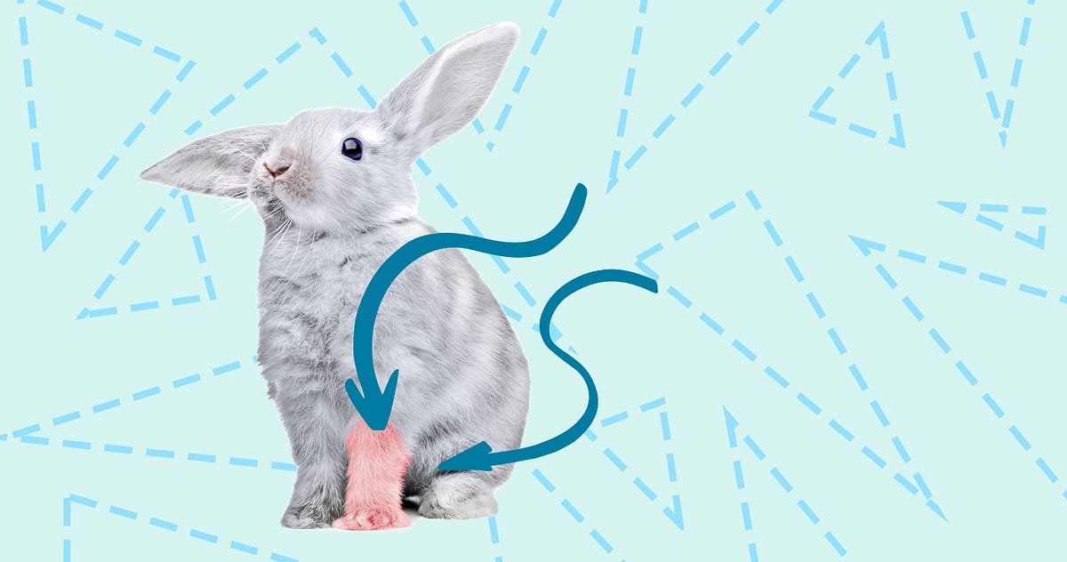 how to make rabbit foot keychain