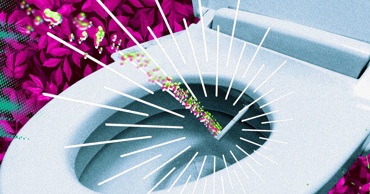 Toilet Culture The Bizarre Rise of Japan’s High Tech Toilets by Thomas Ambrosini Wisecrack