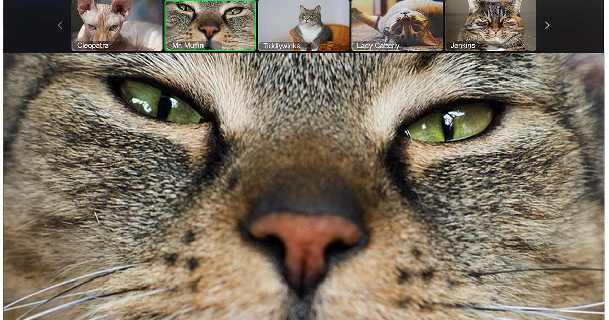 Every Type Of Zoom Call Participant Illustrated By Cats By Jack Shepherd Tenderly Every Type Of Zoom Call Participant Illustrated By Cats By Jack Shepherd Tenderly