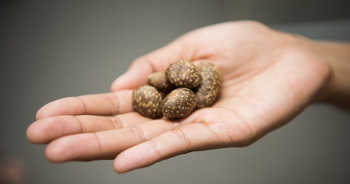 One of the Oldest Spuds In the World Is Poised For a Comeback