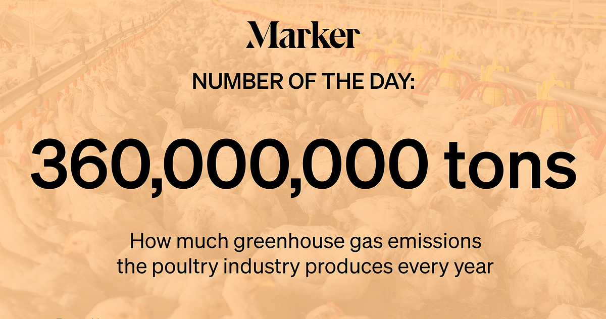 Poultry Farming Is Responsible for Large Amounts of Greenhouse Gas Emissions | Marker - Marker