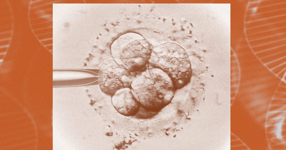 Scientists Edited Human Embryos in the Lab, and It Was a Disaster