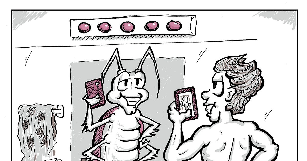 Did You Call Me a Babe Magnet or a Baby Maggot? | by ...