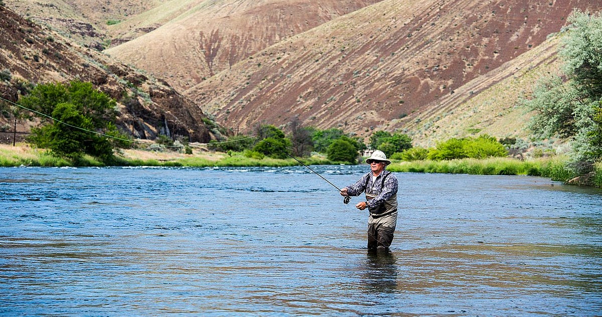 An Illustrated Guide to the Zero Inflated Poisson Regression Model by