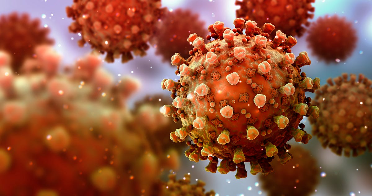 This Is How Your Immune System Reacts to Coronavirus