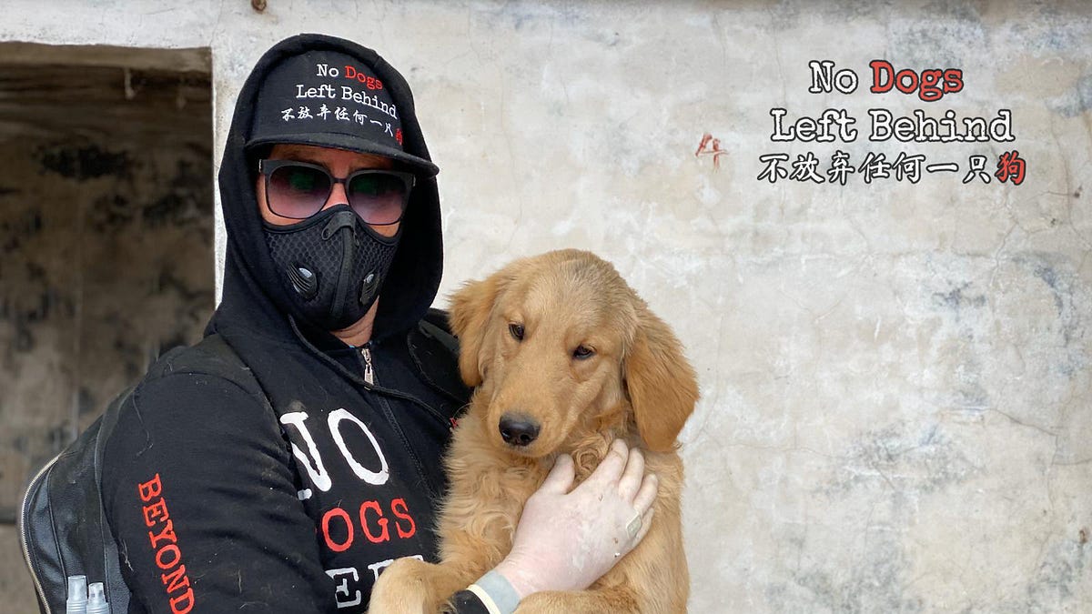 Are Donations To Soi Dog Tax Deductible
