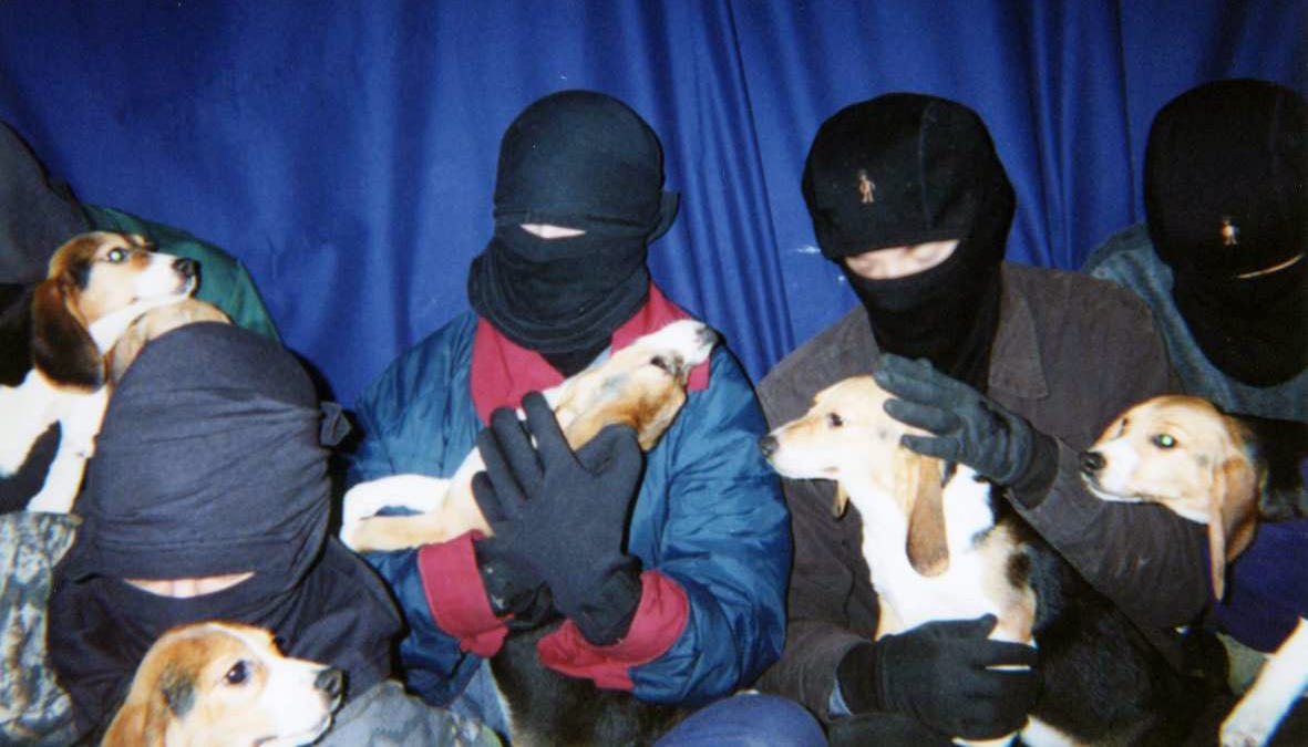 is the animal liberation front a terrorist group is the animal liberation front a terrorist group