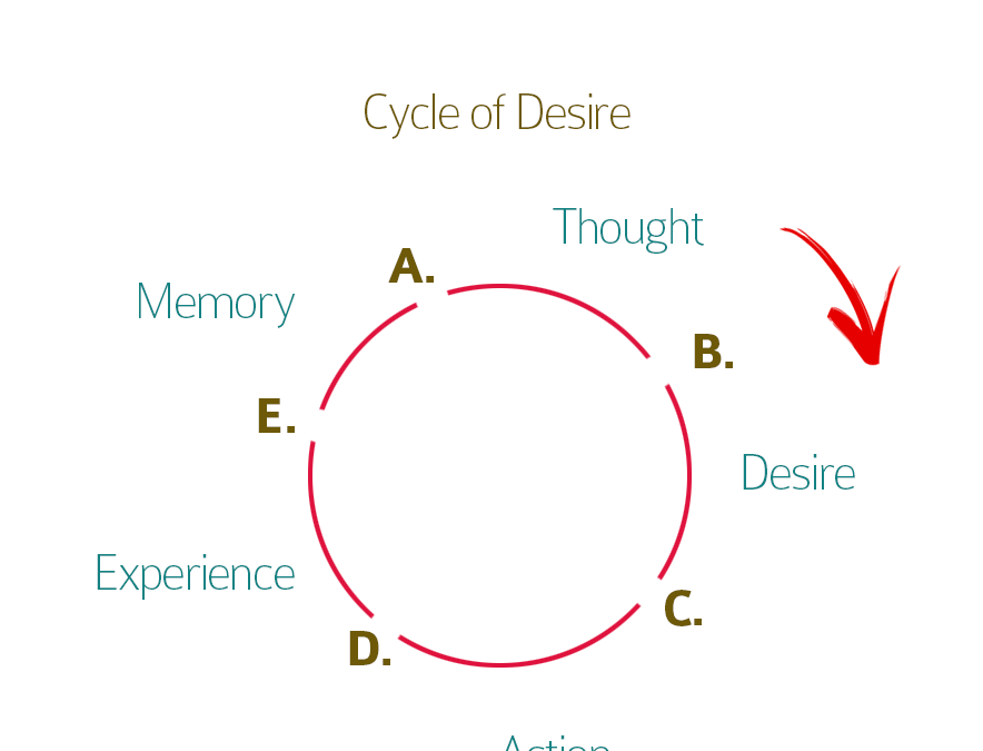 What Is Meditation Somehow The Rules Dont Apply To Me - 