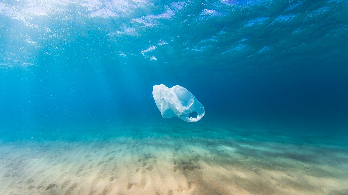 plastic bolsa recycling london
