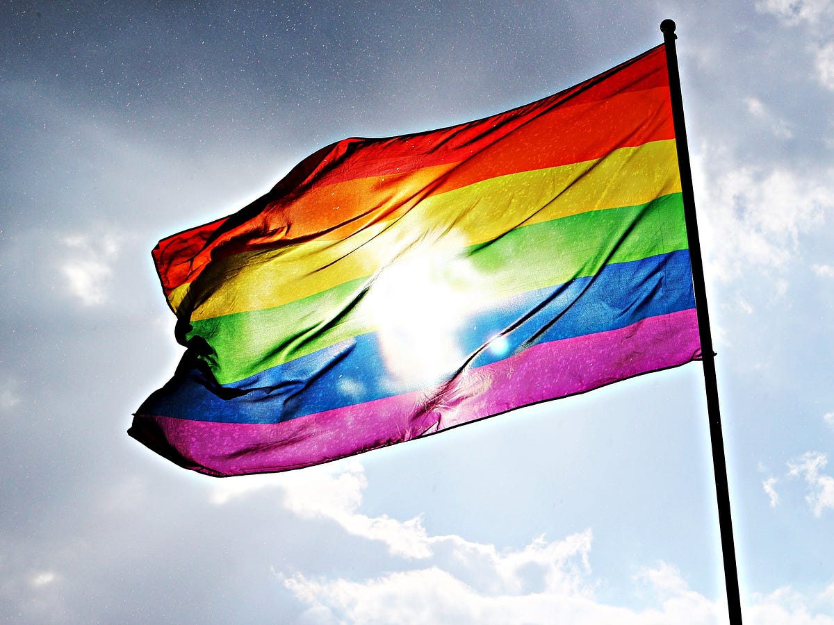 Genderqueer Non-Binary Gender Queer Expansive Flag NEITHER 3 Sew On Patch