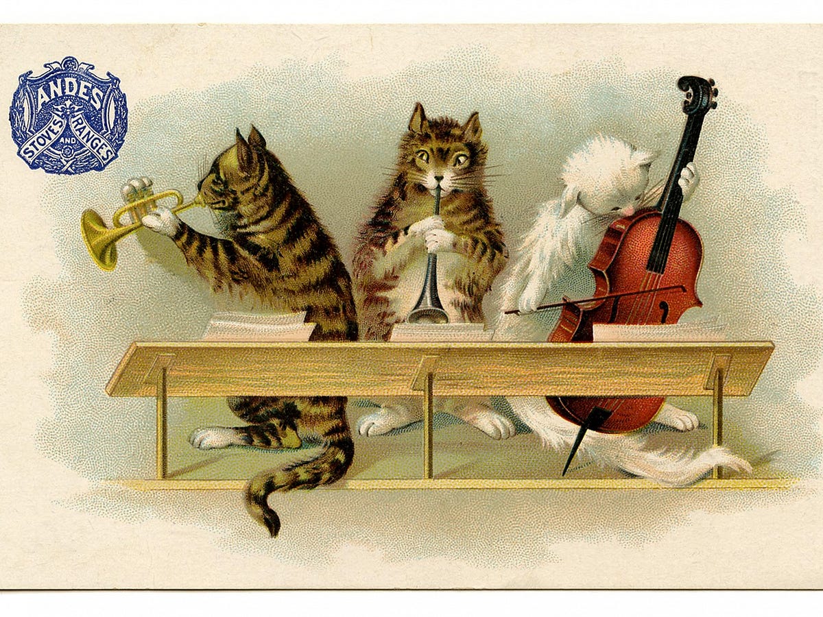 29 Great Songs By Animals From Thee Stallion To The Doves And By Laura Vincent Tenderly