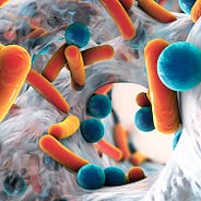 Does Keto Help Or Hurt Your Liver The Case Of Keto And Nafld By Hana Hamzic Age Of Awareness Medium