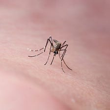 Do You Still Need to Be Worried About Zika?