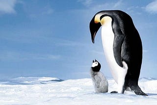 March of the Penguins — harrowing battle for survival in a moving nature documentary