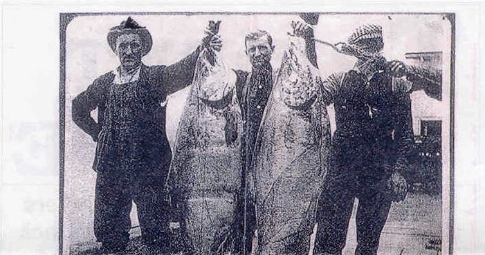 INDIANS FISHING FOR SALMON IN OREGON SPEARING SALMON HARPOON INDIAN HISTORY