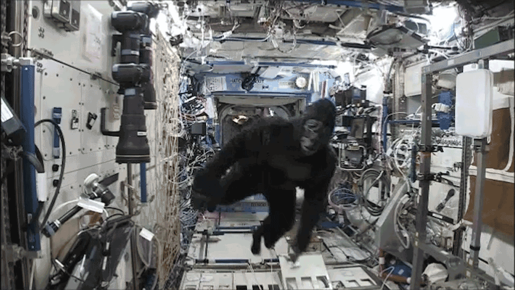 The Astronaut Who Went To Space, Wore A Gorilla Suit, And Chased His Crew Members