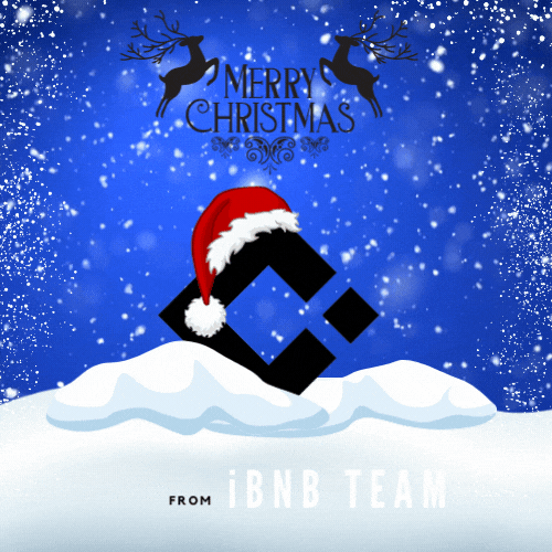 Merry Christmas to You and Your Family from the iBNB Team!