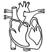 Hand Drawn Heart