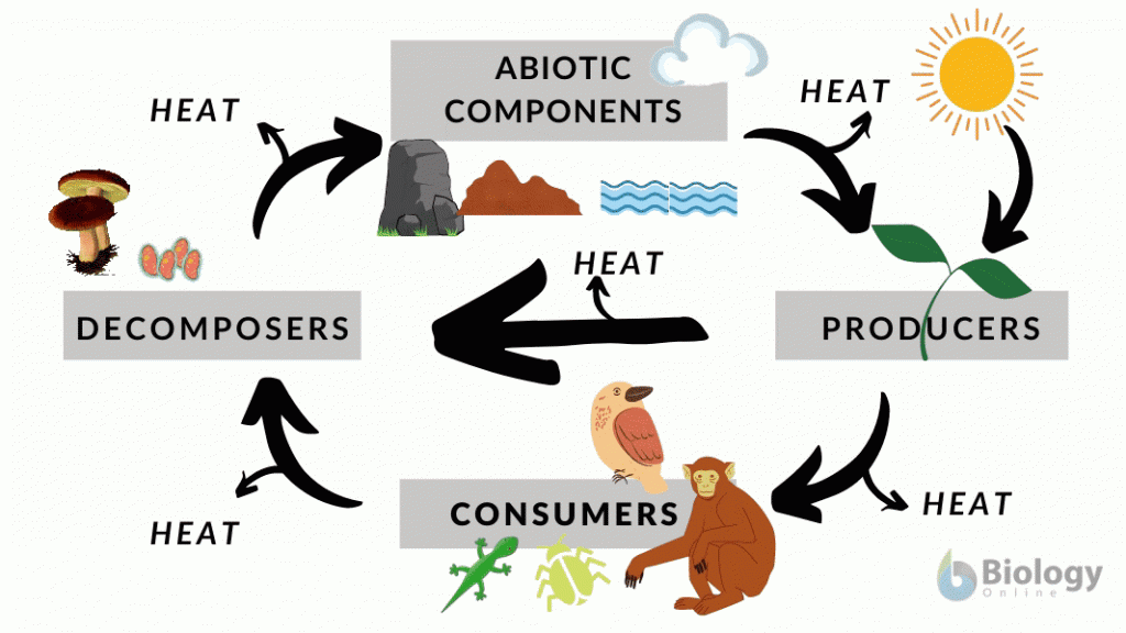 Our Eco- system is Broken and we need to fix it