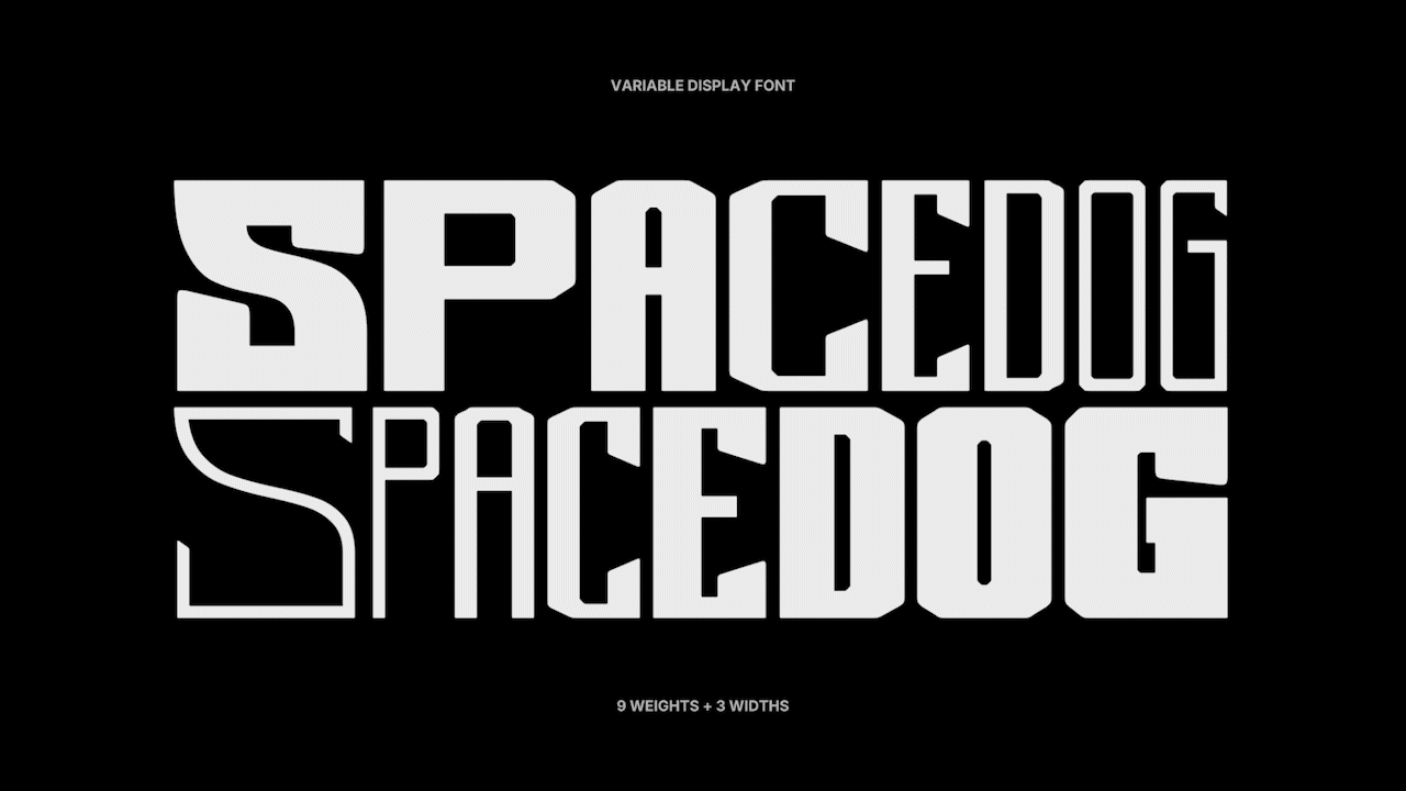 SpaceDog