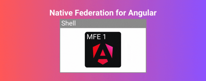 Transforming Your Application into Micro Frontends with Native Federation for Angular— Part 1