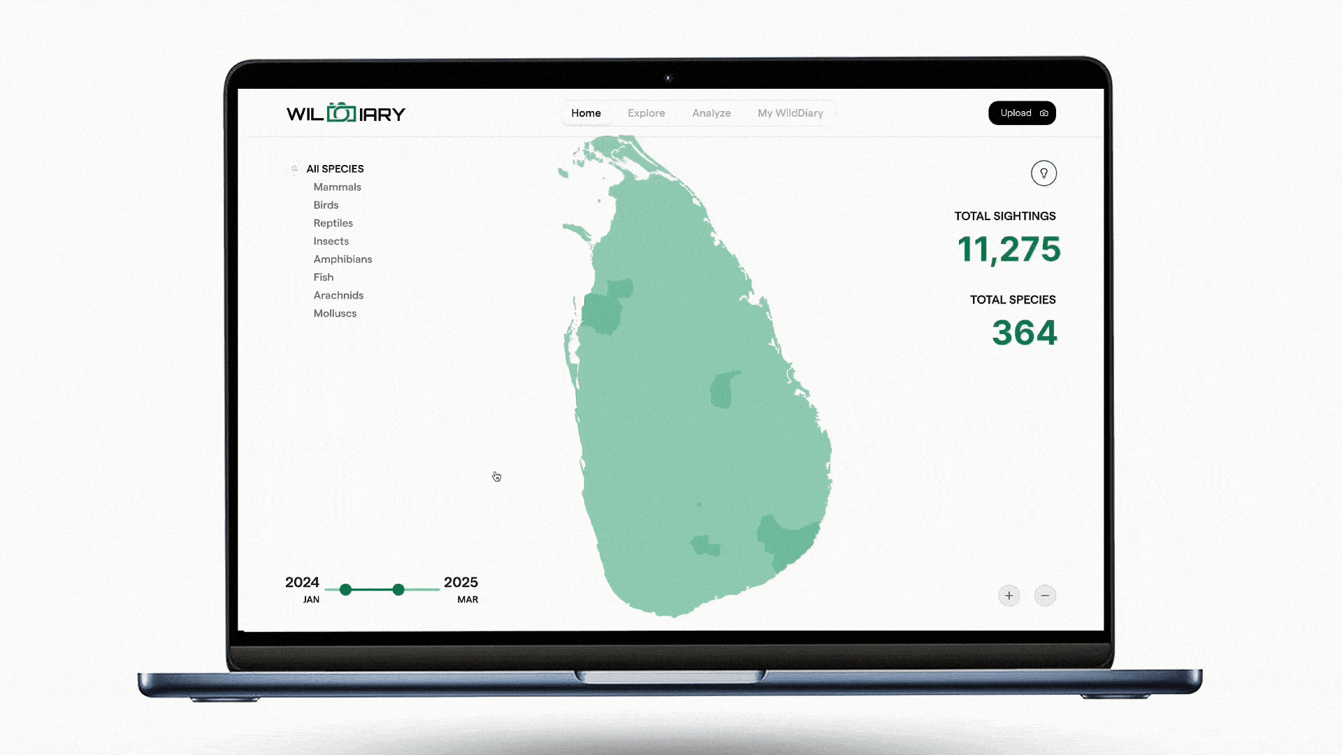 Using Participatory Design to Turn Wildlife Photographs into Conservation Data | A UX Case Study