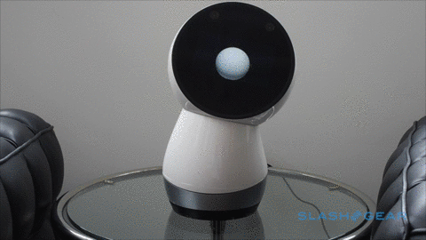 Jibo does the dance