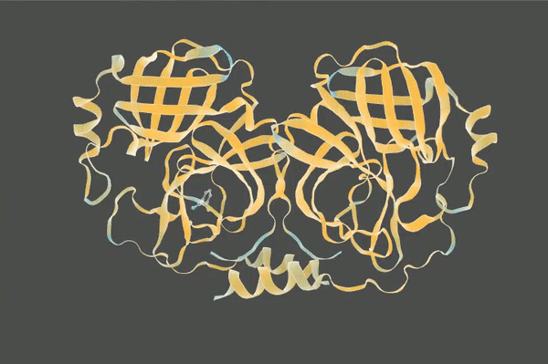 Turning a Protein into Music (Part 3) — Recursive Neural Network