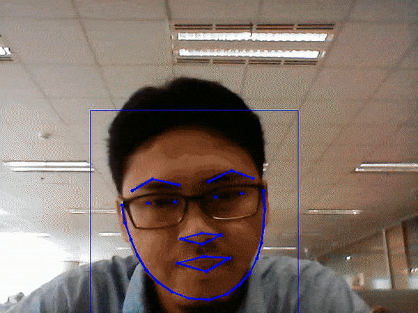 Facial Keypoint Detection with Openvino - Wahyu Sejati Roso - Medium