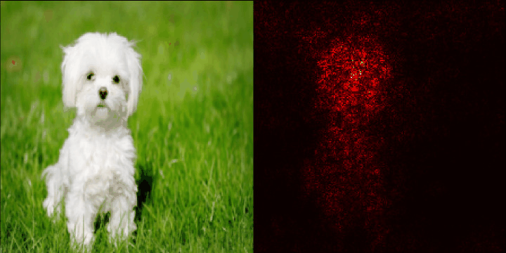Visualizing Neural Networks using Saliency Maps in PyTorch