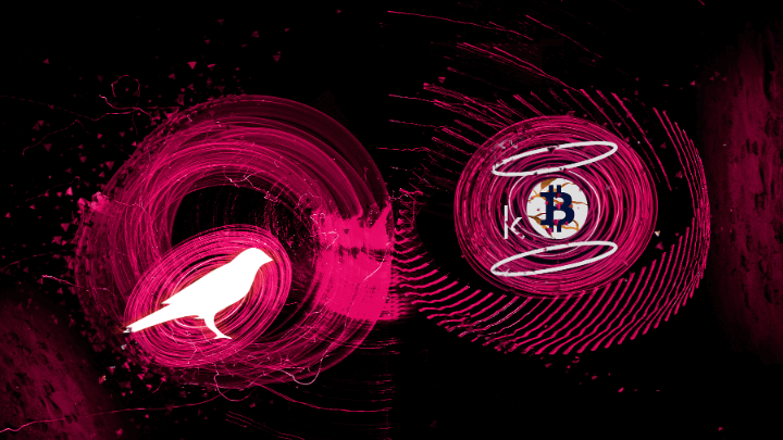 Trustless Bitcoin Bridge Launched on Kusama Network. Polkadot Next.
