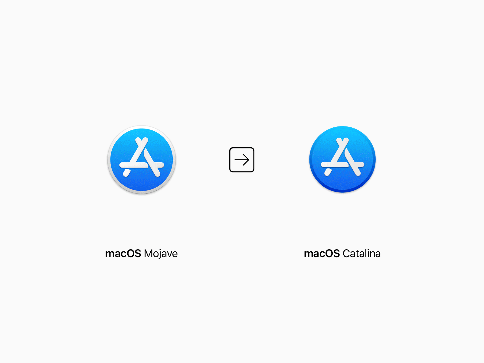 Download Macos Catalina Dmg Google Drive Download Macos Catalina Dmg Google Drive