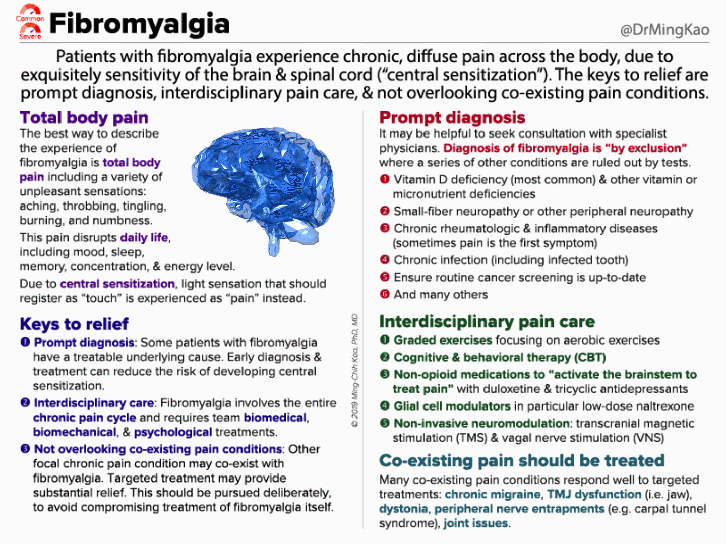 Fibromyalgia - Within Normal Limits of Reason - Medium