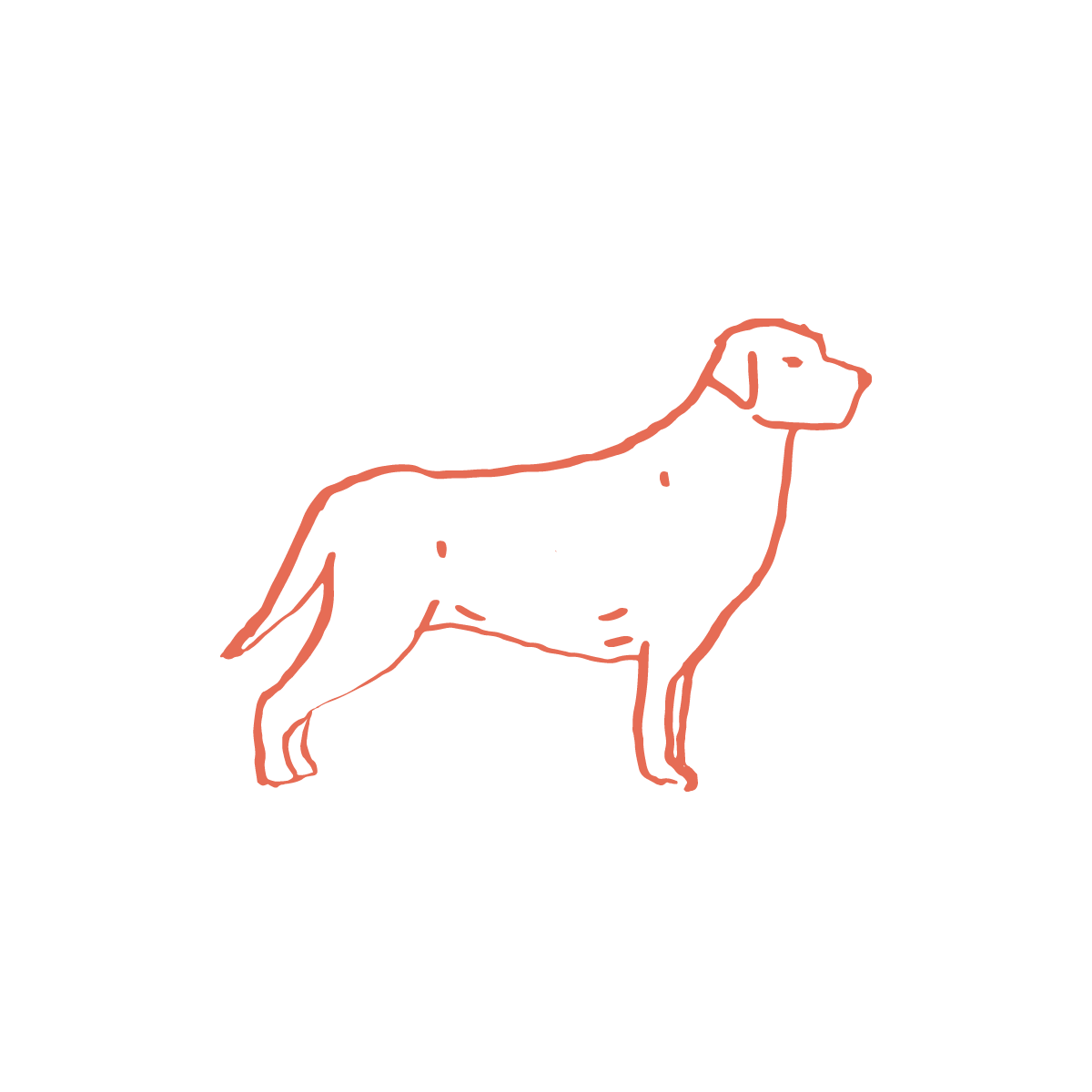 butternut box for dogs